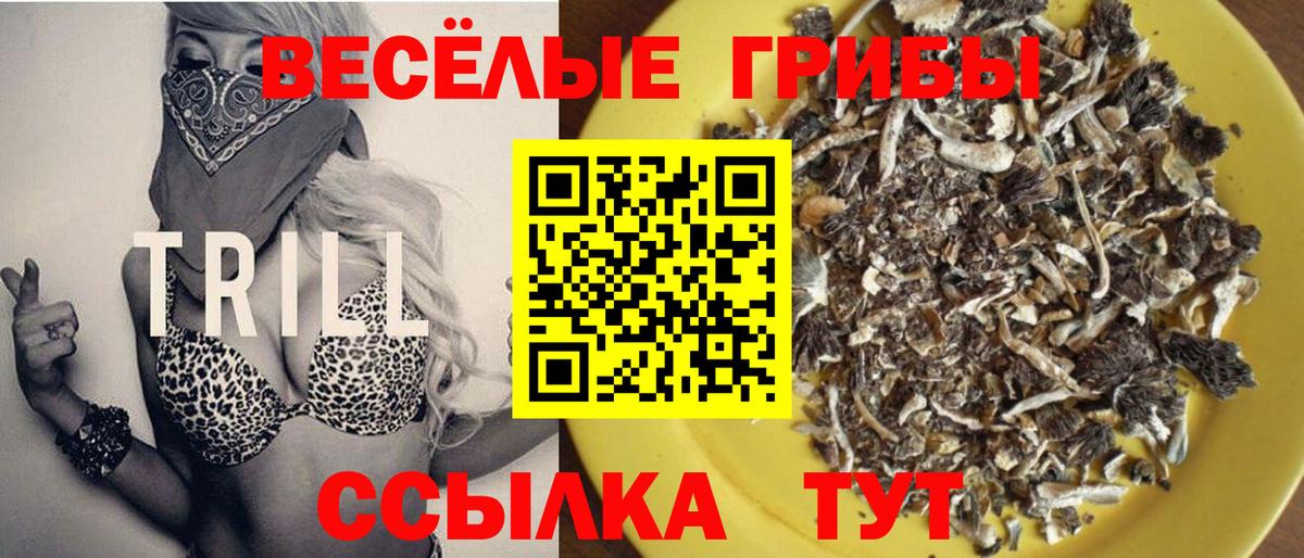 Галлюциногенные грибы Psilocybine cubensis  Вход с VPN  Усть-Илимск  Псилоцибиновые грибы Psilocybe 